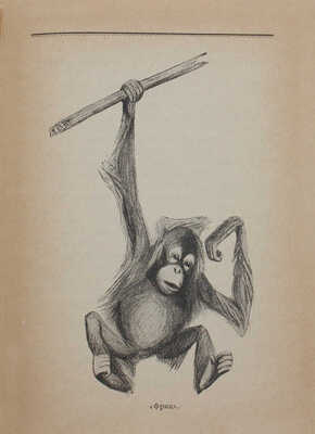 Плавильщиков Н.Н. Орангутан / Рис. В. Ватагина. М.: Изд-во Московского коммунального хозяйства, 1928.